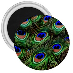 Peacock Feathers Plumage Iridescent 3  Magnets by HermanTelo