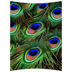 Peacock Feathers Plumage Iridescent Back Support Cushion