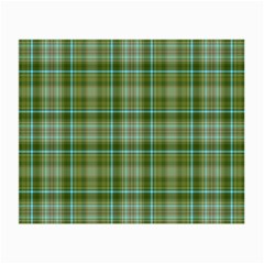 Vintage Green Plaid Small Glasses Cloth