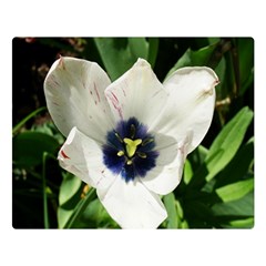 Blue Centered Tulip Double Sided Flano Blanket (large)  by okhismakingart