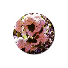 Pink Snowballs Magnet 3  (round) by okhismakingart