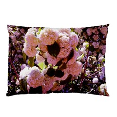 Pink Snowballs Pillow Case (two Sides) by okhismakingart