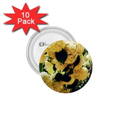 Yellow Snowballs 1 75  Buttons (10 Pack) by okhismakingart