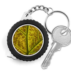 Leaf Structure Texture Background Measuring Tape