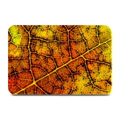 Autumn Leaves Forest Fall Color Plate Mats by Pakrebo