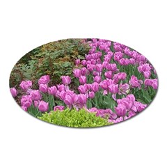 Late April Purple Tulip Oval Magnet by Riverwoman