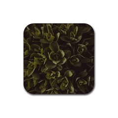 Green Leafy Plant Rubber Coaster (square) 