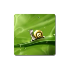 Snail Drops Rain Drawing Green Square Magnet by Wegoenart