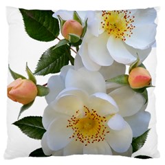 Roses Stamens Pollen Buds White Large Cushion Case (two Sides) by Pakrebo