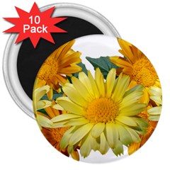 Daisies Flowers Yellow Arrangement 3  Magnets (10 Pack)  by Pakrebo