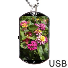 Summer Lantana W Bee Dog Tag Usb Flash (two Sides) by Riverwoman