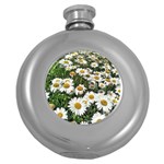 Columbus Commons Shasta Daisies Round Hip Flask (5 oz) Front