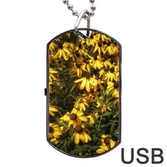 Echinacea Paradoxa Dog Tag Usb Flash (two Sides) by Riverwoman