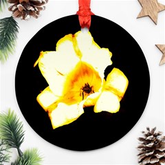 Yellow And Orange Tulip Ornament (round) by okhismakingart