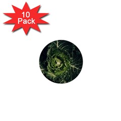 Plant Leaf Flower Green Produce Vegetable Botany Flora Cabbage Macro Photography Flowering Plant 1  Mini Buttons (10 Pack)  by Vaneshart