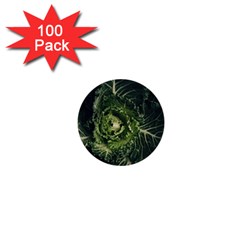 Plant Leaf Flower Green Produce Vegetable Botany Flora Cabbage Macro Photography Flowering Plant 1  Mini Buttons (100 Pack)  by Vaneshart