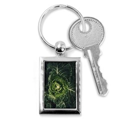 Plant Leaf Flower Green Produce Vegetable Botany Flora Cabbage Macro Photography Flowering Plant Key Chain (rectangle) by Vaneshart