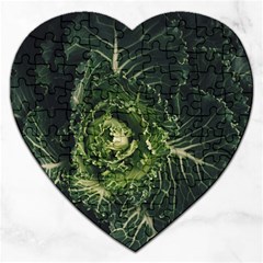 Plant Leaf Flower Green Produce Vegetable Botany Flora Cabbage Macro Photography Flowering Plant Jigsaw Puzzle (heart) by Vaneshart