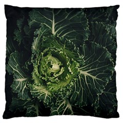 Plant Leaf Flower Green Produce Vegetable Botany Flora Cabbage Macro Photography Flowering Plant Large Flano Cushion Case (two Sides) by Vaneshart