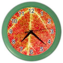 Plant Vineyard Wine Sunlight Texture Leaf Pattern Green Red Color Macro Autumn Circle Vein Sunny  Color Wall Clock by Vaneshart