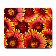 Background 1655938 960 720 Large Mousepads by vintage2030