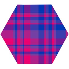 Bisexual Plaid Wooden Puzzle Hexagon