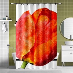 Tulip Watercolor Red And Black Stripes Shower Curtain 48  X 72  (small)  by picsaspassion