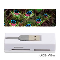 Peacock Feathers Color Plumage Memory Card Reader (stick) by Celenk