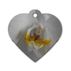 Orchidée Blanche Fleur Dog Tag Heart (two Sides)