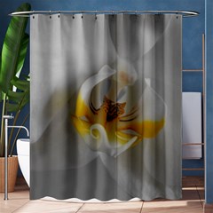 Orchidée Blanche Fleur Shower Curtain 60  X 72  (medium)  by kcreatif