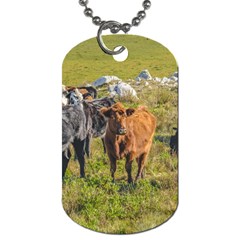 Cows At Countryside, Maldonado Department, Uruguay Dog Tag (one Side) by dflcprints