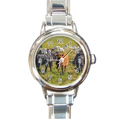 Cows At Countryside, Maldonado Department, Uruguay Round Italian Charm Watch by dflcprints