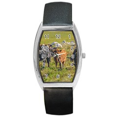 Cows At Countryside, Maldonado Department, Uruguay Barrel Style Metal Watch by dflcprints