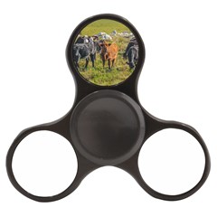 Cows At Countryside, Maldonado Department, Uruguay Finger Spinner by dflcprints