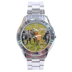 Cows At Countryside, Maldonado Department, Uruguay Stainless Steel Analogue Watch by dflcprints