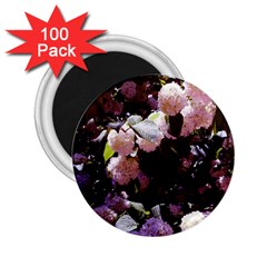 Purple Snowballs 2 25  Magnets (100 Pack) 