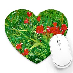 Red Flowers And Green Plants At Outdoor Garden Heart Mousepads