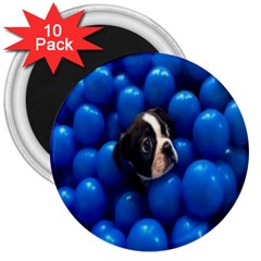 Cute Balls Puppy 3  Magnets (10 Pack)  by Sparkle