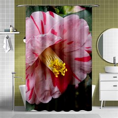 Striped Pink Camellia Ii Shower Curtain 48  X 72  (small)  by okhismakingart