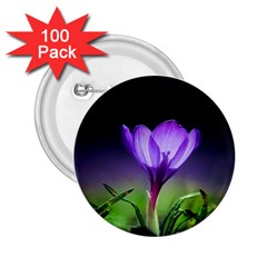 Floral Nature 2 25  Buttons (100 Pack) 