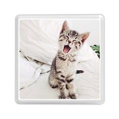 Laughing Kitten Memory Card Reader (square)