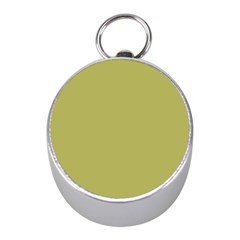 Olive Green Color Mini Silver Compasses by SpinnyChairDesigns