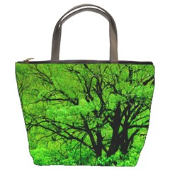 Big Trees, El Leoncito National Park, San Juan, Argentina Bucket Bag by dflcprintsclothing