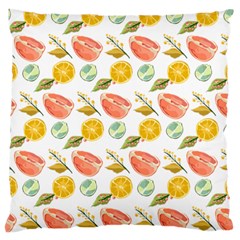 Citrus Gouache Pattern Large Flano Cushion Case (two Sides) by EvgeniaEsenina