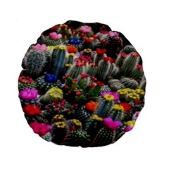 Cactus Standard 15  Premium Flano Round Cushions by Sparkle