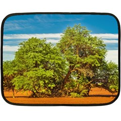 Carob Tree, Talampaya National Park, La Rioja, Argentina Fleece Blanket (mini) by dflcprintsclothing