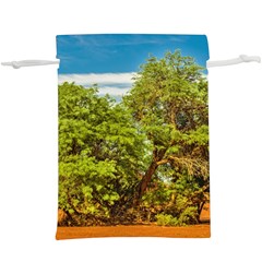 Carob Tree, Talampaya National Park, La Rioja, Argentina  Lightweight Drawstring Pouch (xl) by dflcprintsclothing