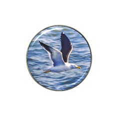 Seagull Flying Over Sea, Montevideo, Uruguay Hat Clip Ball Marker (4 Pack)