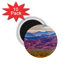 Arid Andean Landscape, La Rioja, Argentina010 1 75  Magnets (10 Pack) 