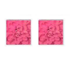 Beauty Pink Rose Detail Photo Cufflinks (square)